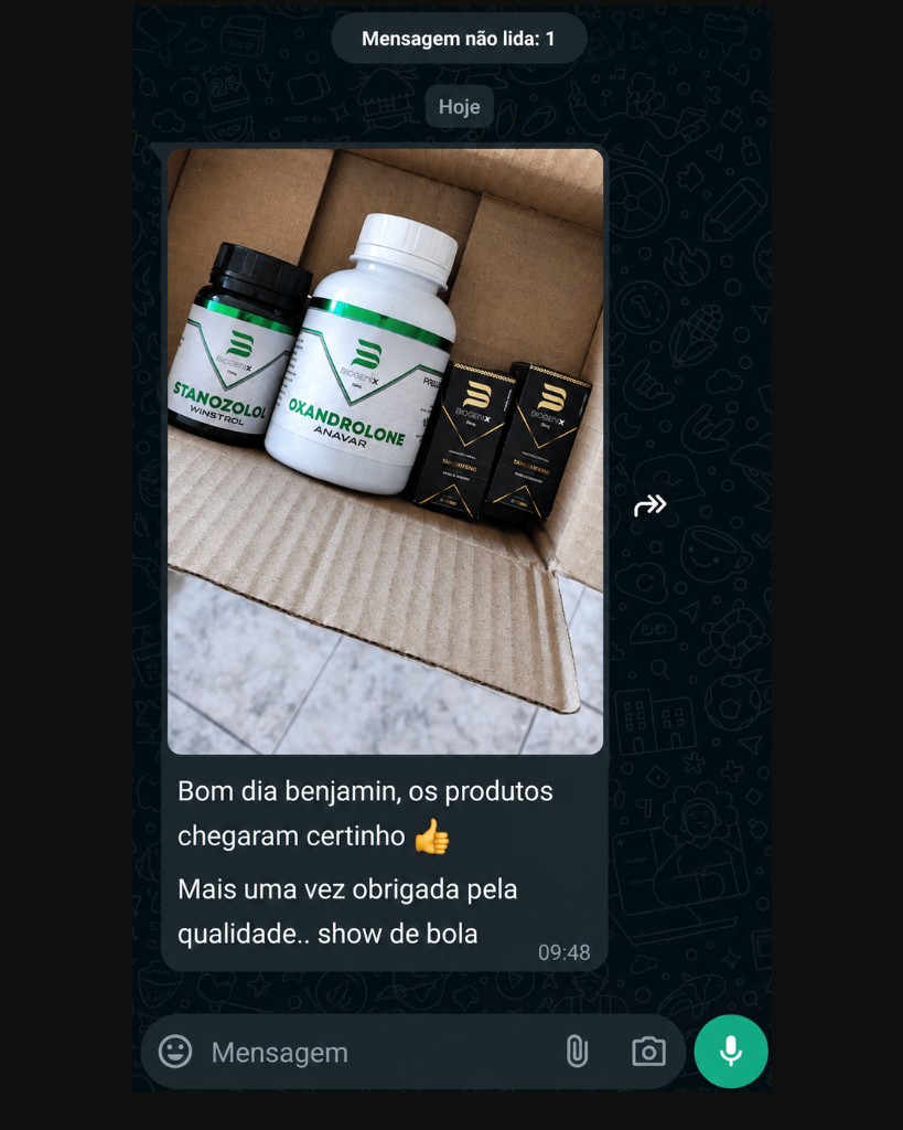 Mensagem de WhatsApp de cliente 3